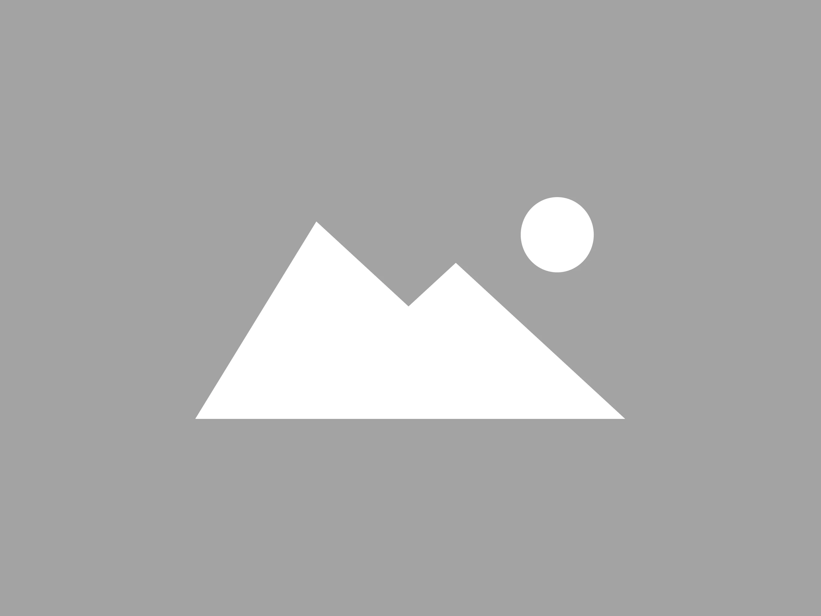 2025-11-04T10_21_45.640776903_4_3 (1).webp